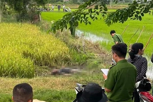 Vướng bẫy chuột bằng điện, người đàn ông đi thăm ruộng tử vong