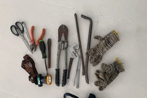 Đêm khuya đột nhập vào quán tạp hóa để trộm tài sản