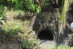 Một công ty ở Long An bị phạt 30 triệu đồng vì xả nước thải ra môi trường