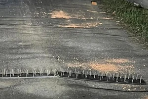 Dùng bàn chông đinh bẫy xe ô tô để cướp trên tỉnh lộ 818 ở Long An