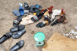 Công an bắt quả tang 14 người tụ tập đá gà tại bãi đất hoang