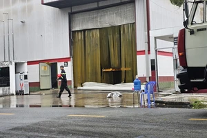 Cháy lớn ở công ty sản xuất bột gạo ở Long An