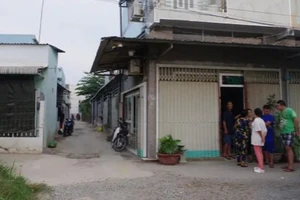 Ngày đầu năm từ TP.HCM xuống Long An cướp giật bị công an bắt giữ