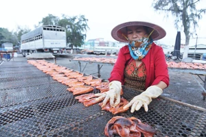Long An: Nhộn nhịp mùa khô cá đồng dịp tết