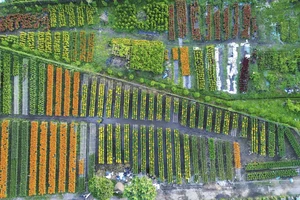 Trên 922 tỉ đồng để chống chịu khí hậu và chuyển đổi tổng hợp ở Đồng Tháp