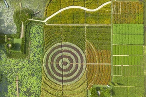 Nhiều điểm check in cực “hot” ở Tiền Giang đã sẳn sàng đón khách dịp tết