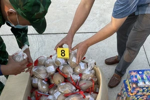 Dùng ô tô vận chuyển 279 kg pháo lậu thì bị bắt