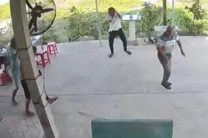 Đang ngồi nhậu, 4 người đàn ông bị ong đốt nhập viện