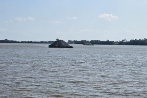 Long An công bố tình huống thiên tai xâm nhập mặn trên địa bàn