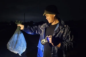 Long An: Nhộn nhịp bắt ếch đồng đầu mùa mưa