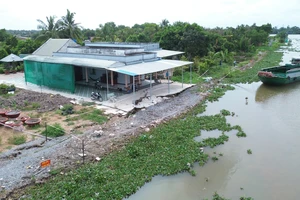 Long An: Người dân lo sợ trước nạn sạt lở đê bao ven sông Vàm Cỏ Tây 