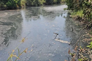 Một nhà máy phân bón ở Long An bị đề nghị xử phạt trên 300 triệu đồng 