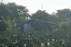 Nghi mâu thuẫn tình cảm, một phụ nữ ở Long An bị đâm tử vong 