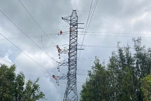 Đã khắc phục sự cố mất điện diện rộng tại Long An và Tiền Giang