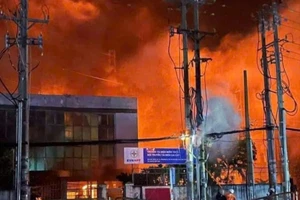 Long An mất điện trên diện rộng do cháy trạm biến áp Cai Lậy