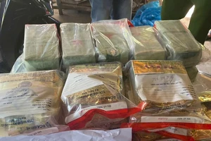 Phá chuyên án, thu giữ 25 kg ma túy ở Long An