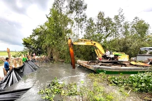 Long An: Có hơn 9.000 ha lúa bị nước lũ đe dọa