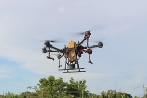 Máy bay phun thuốc va vào lưới điện, khoảng 76.000 khách hàng mất điện