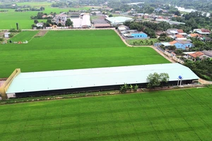 Long An: Người dân khổ vì trang trại nuôi vịt gây ô nhiễm môi trường