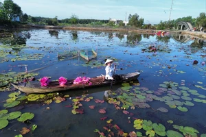Long An sắp diễn ra Tuần Văn hóa – Thể Thao - Du lịch lần 2 