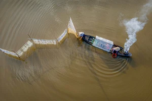 Nhiếp ảnh gia đua nhau về Long An săn ảnh nghệ thuật mùa nước nổi 