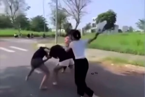 Nữ sinh lớp 7 ở Long An bị nhóm bạn đánh, lột đồ phải nhập viện