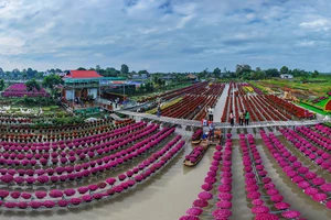 Hàng ngàn du khách đổ về làng hoa Sa Đéc chụp ảnh, mua hoa Tết 