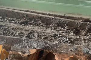 Tạt mắm tôm trả thù vì tăng giá cho thuê 