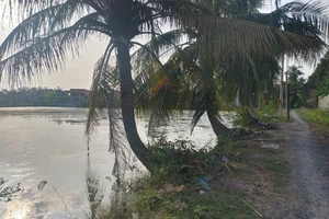 Long An: Tìm thấy thi thể bé gái 5 tuổi ở ao cá gần nhà