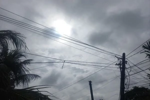 Một công nhân điện lực bị tai nạn tử vong trong lúc nhiệm vụ