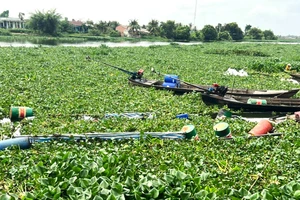 Chìm ghe chở gần 50 tấn lúa ở Long An, thiệt hại hơn 300 triệu đồng