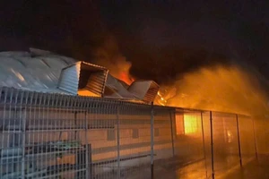 Cháy lớn tại công ty sản xuất giày ở Long An