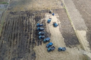 Long An: Rầm rộ khai thác đất mặt ruộng trái phép sau mùa gặt