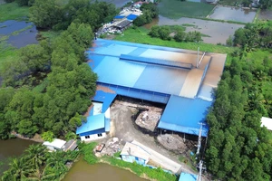 Long An: Cơ sở tái chế hạt nhựa bị phạt 55 triệu, buộc tháo dỡ xưởng trái phép