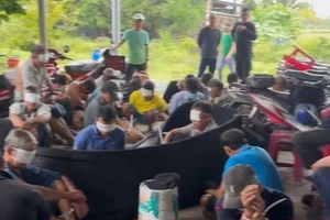 Tây Ninh triệt phá ổ đá gà mô lớn có 54 người tham gia