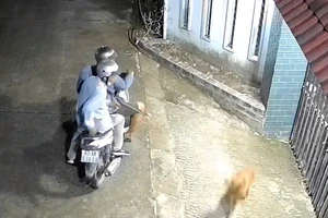 Camera ghi lại cảnh hai thanh niên dùng súng tự chế đi bắn trộm chó 