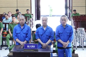 Án chung thân cho nhóm vận chuyển gần 5kg ma túy từ Campuchia về Việt Nam