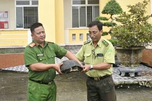 Công an xã phát hiện rùa Răng quý hiếm nặng 10kg trong đêm tuần tra