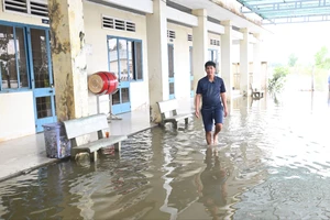 Tây Ninh: Nhiều điểm trường tạm nghỉ vì nước sông Vàm Cỏ Đông dâng cao