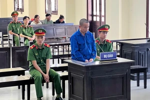 'Cò' lúa lãnh 17 năm tù vì chiếm đoạt tiền tỉ của thương lái