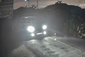 Bắt nghi phạm đầu tiên trong vụ dùng ô tô 7 chỗ đi trộm chó