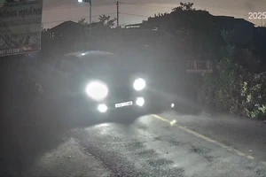 Camera ghi cảnh trộm đi ô tô 7 chỗ bắn chích điện bắt chó ở Tây Ninh