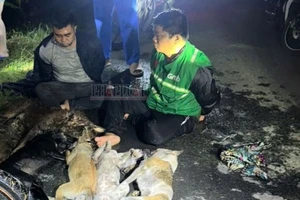Tây Ninh: Hai kẻ trộm chó bị tóm gọn cùng súng điện và 5 con chó