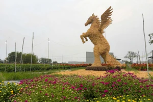 Vườn hoa Tết Tây Ninh nổi bật với linh vật ngựa rơm khổng lồ