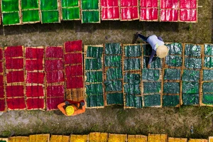 Giữ hồn nghề bột khoai mì Tây Ninh giữa nhịp sống hiện đại