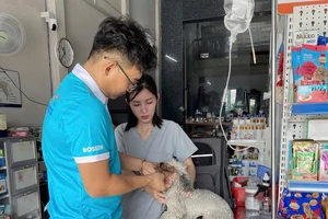 Tây Ninh có chỉ đạo sau 4 ca tử vong vì bệnh dại