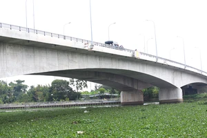 Điều tra nguyên nhân người đàn ông nhảy cầu Tân An xuống sông mất tích