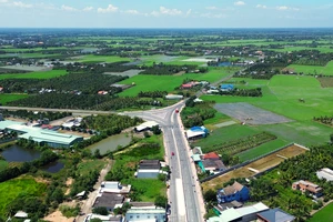 Tuyến đường Tân An - Bình Hiệp phá thế độc đạo Quốc lộ 62, khai mở dư địa phát triển Đồng Tháp Mười