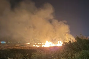 Bất cẩn vứt tàn thuốc, lửa thiêu rụi hàng ngàn mét vuông cỏ