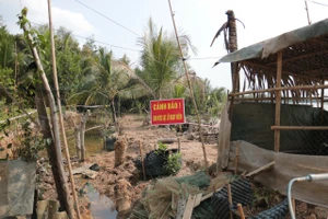Tây Ninh: Sạt lở ven sông Vàm Cỏ Tây, người dân sống trong bất an